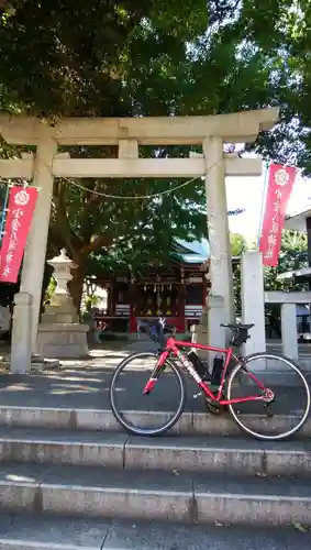 小金八坂神社の鳥居