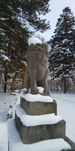 上川神社の狛犬