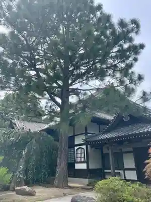 光明寺(宮城県)