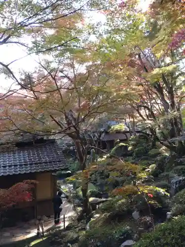 教林坊の庭園