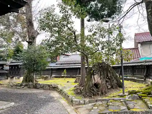 那波加神社の建物その他