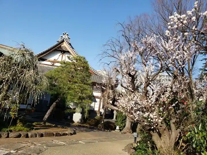 瑞円寺のその他建物
