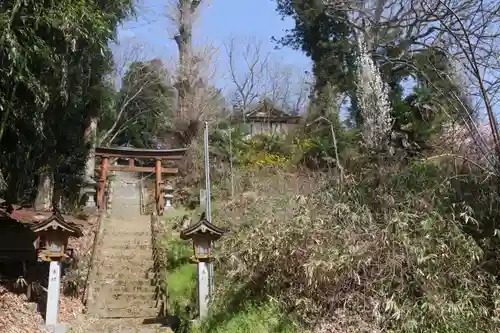 菅布禰神社の鳥居