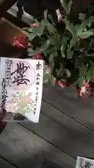 妙蓮寺の御朱印