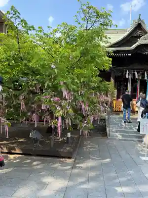 桜神宮の{uncategorized: "未分類", other: "その他", undefined: "問題あり", building: "その他建物", grave: "お墓", sacred_gate: "鳥居", guardian: "狛犬", statue: "像", buddha: "仏像", history: "歴史", nature: "自然", garden: "庭園", animal: "動物", pagoda: "塔", temizu: "手水舎", mountain_gate: "山門・神門", sanctuary: "本殿・本堂", subordinate: "末社・摂社", art: "芸術", scenery: "景色", jizo: "地蔵", ema: "絵馬", goshuin: "御朱印", omikuji: "おみくじ", items: "授与品その他", amulet: "お守り", goshuincho: "御朱印帳", eats: "食事", festival: "お祭り", votive_dance: "神楽", shichigosan: "七五三参", wedding: "結婚式", experience: "体験その他", initially: "初詣", around: "周辺", anti_infection: "感染症対策"}