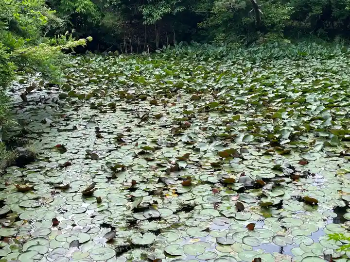 石清水八幡宮(京都府)