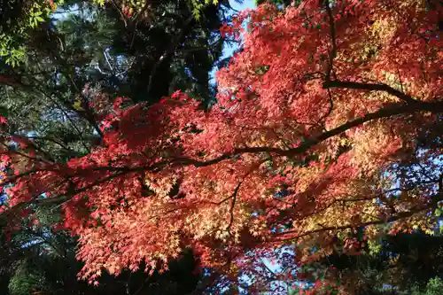 田村神社の庭園