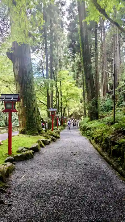 貴船神社(京都府)