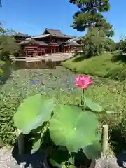 平等院の建物その他