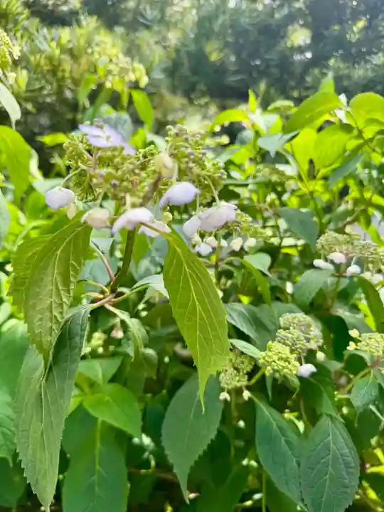 霊源院(京都府)