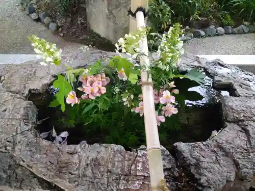 阿智神社の手水