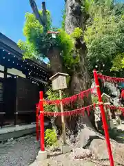 三輪神社(愛知県)