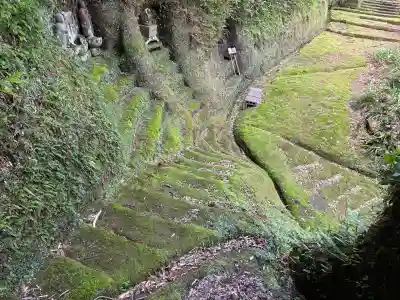 智蔵寺の{uncategorized: "未分類", other: "その他", undefined: "問題あり", building: "その他建物", grave: "お墓", sacred_gate: "鳥居", guardian: "狛犬", statue: "像", buddha: "仏像", history: "歴史", nature: "自然", garden: "庭園", animal: "動物", pagoda: "塔", temizu: "手水舎", mountain_gate: "山門・神門", sanctuary: "本殿・本堂", subordinate: "末社・摂社", art: "芸術", scenery: "景色", jizo: "地蔵", ema: "絵馬", goshuin: "御朱印", omikuji: "おみくじ", items: "授与品その他", amulet: "お守り", goshuincho: "御朱印帳", eats: "食事", festival: "お祭り", votive_dance: "神楽", shichigosan: "七五三参", wedding: "結婚式", experience: "体験その他", initially: "初詣", around: "周辺", anti_infection: "感染症対策"}