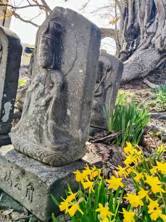 黄金龍神社(桂不動)(北海道)