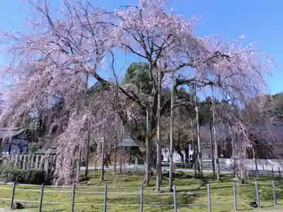 足羽神社(福井県)