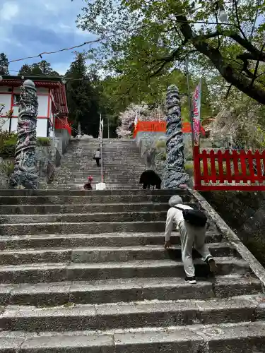 金櫻神社の{uncategorized: "未分類", other: "その他", undefined: "問題あり", building: "その他建物", grave: "お墓", sacred_gate: "鳥居", guardian: "狛犬", statue: "像", buddha: "仏像", history: "歴史", nature: "自然", garden: "庭園", animal: "動物", pagoda: "塔", temizu: "手水舎", mountain_gate: "山門・神門", sanctuary: "本殿・本堂", subordinate: "末社・摂社", art: "芸術", scenery: "景色", jizo: "地蔵", ema: "絵馬", goshuin: "御朱印", omikuji: "おみくじ", items: "授与品その他", amulet: "お守り", goshuincho: "御朱印帳", eats: "食事", festival: "お祭り", votive_dance: "神楽", shichigosan: "七五三参", wedding: "結婚式", experience: "体験その他", initially: "初詣", around: "周辺", anti_infection: "感染症対策"}