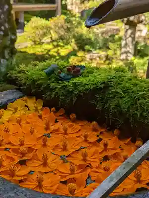 柳谷観音　楊谷寺(京都府)