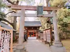 赤坂氷川神社の鳥居