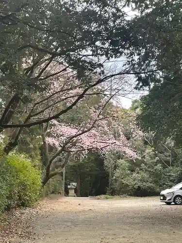 筑紫神社(福岡県)