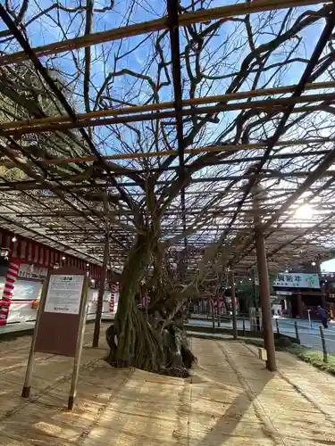 笠間稲荷神社(茨城県)