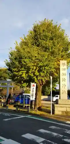 半田稲荷神社の自然