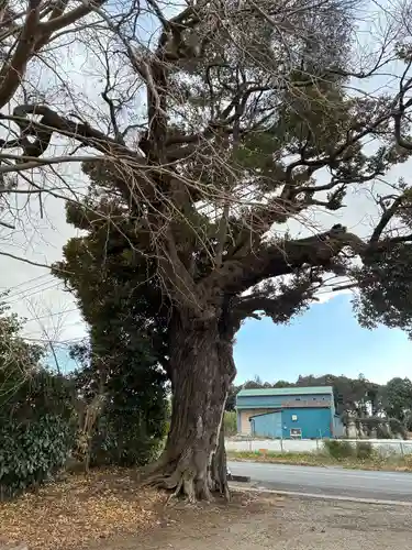 子安神社(千葉県)