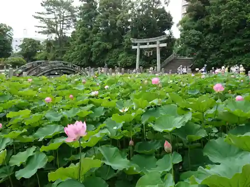 伊賀八幡宮の庭園