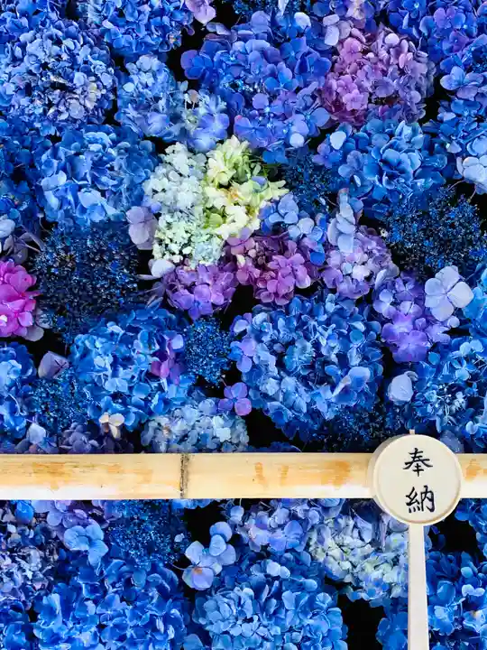 土津神社|こどもと出世の神さまの手水舎