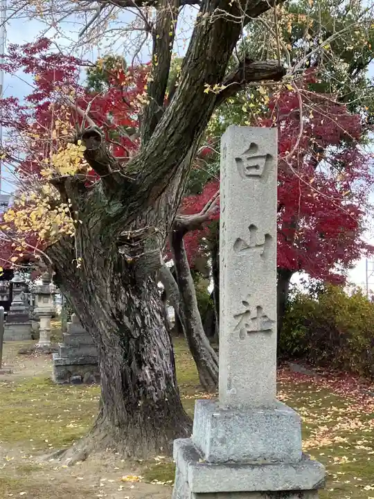 白山神社(岐阜県)