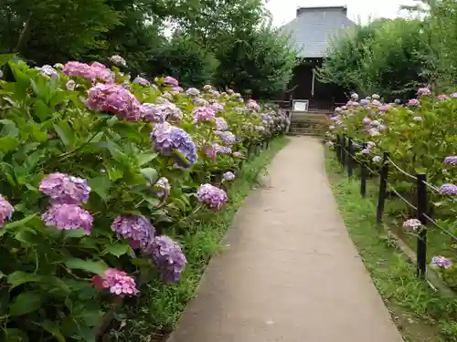 本土寺のその他建物