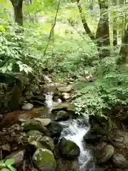 花園神社の自然