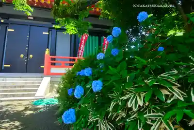 高幡不動尊　金剛寺(東京都)