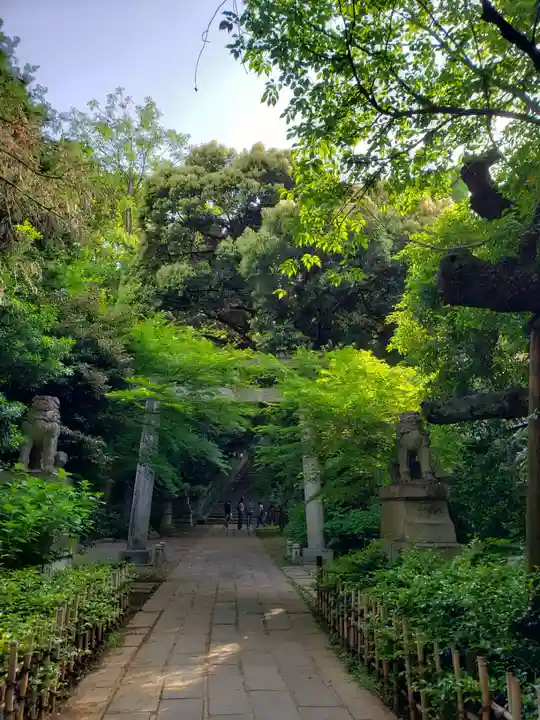赤坂氷川神社(東京都)