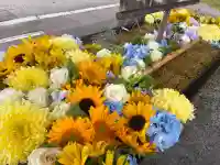 亀田八幡宮(北海道)