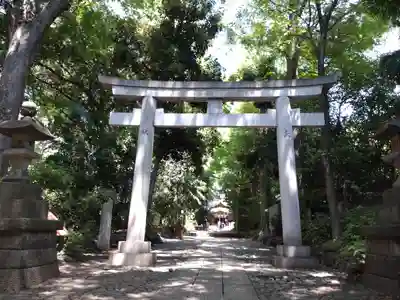 代々木八幡宮の鳥居
