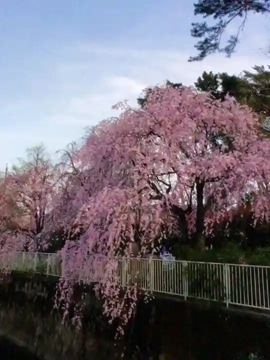 下高井戸八幡神社(東京都)