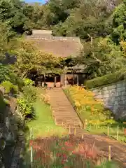 横浜　西方寺の本殿