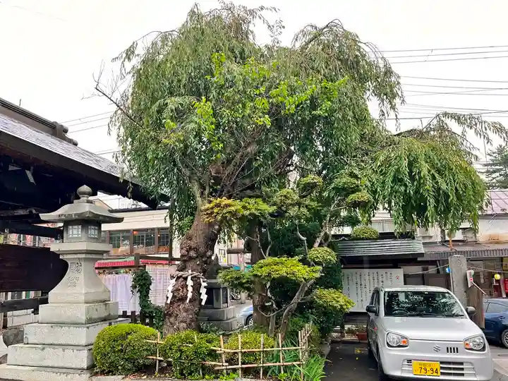 櫻山神社の自然