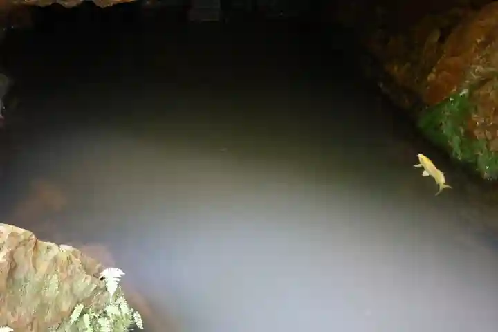 窟神社(栃木県)