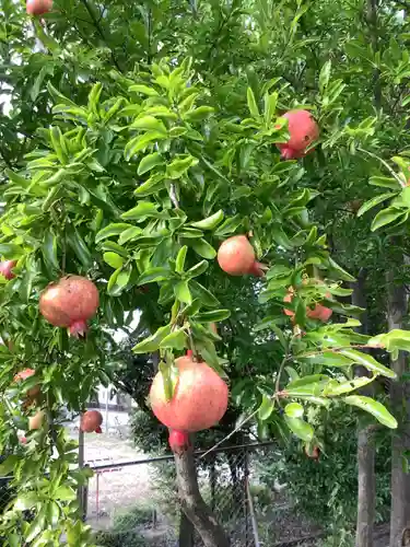 貴船社（一社3）の庭園