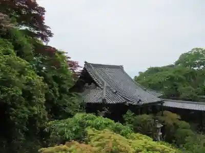 竹林院の本殿・本堂