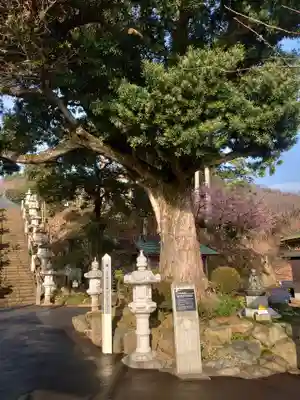 長谷寺のその他建物