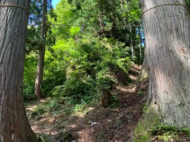 三石神社の自然