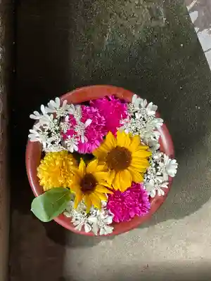 菅生神社(愛知県)