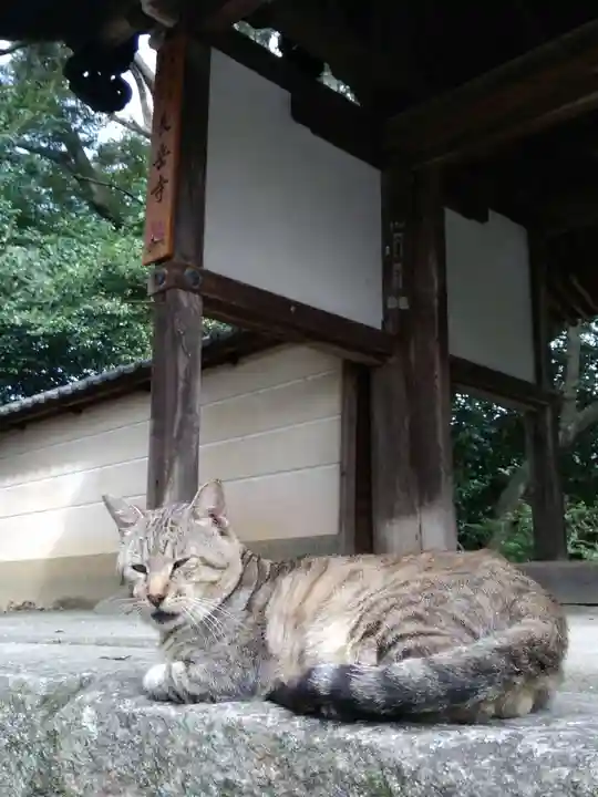 長岳寺(奈良県)