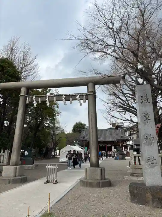 浅草神社の鳥居