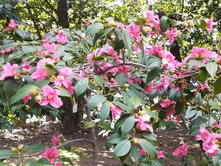 城南宮(京都府)
