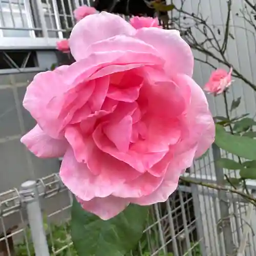 豊景神社(福島県)