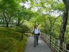 東福禅寺（東福寺）の建物その他