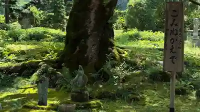 西善寺(埼玉県)